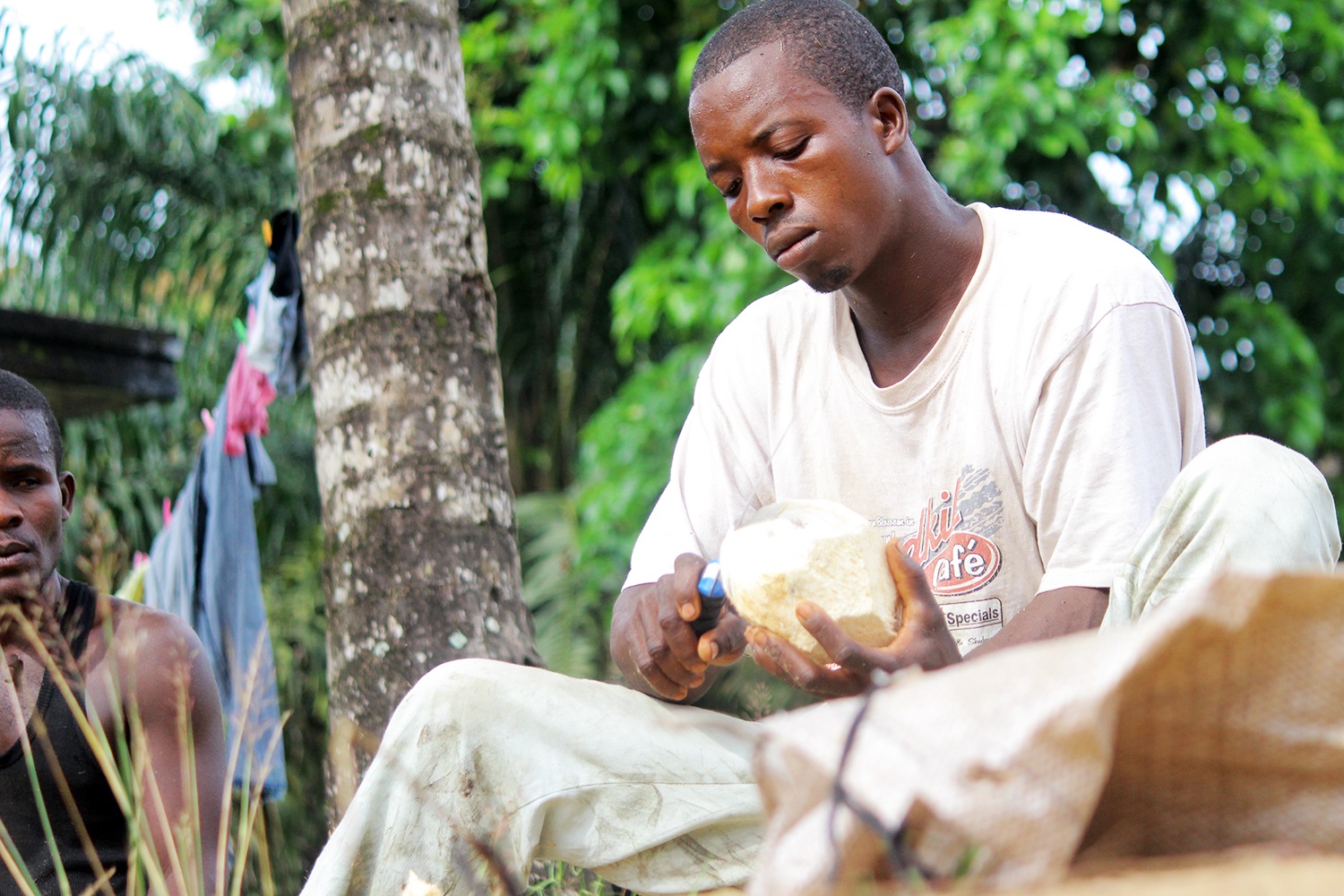 Making-coconut-oil-Liberia4